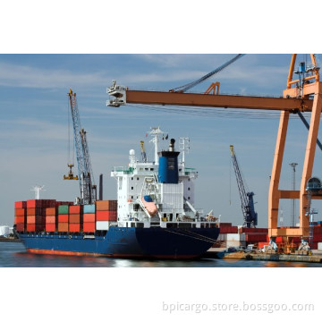 Professional Ocean Freight Service From Shenzhen to San Antonio
